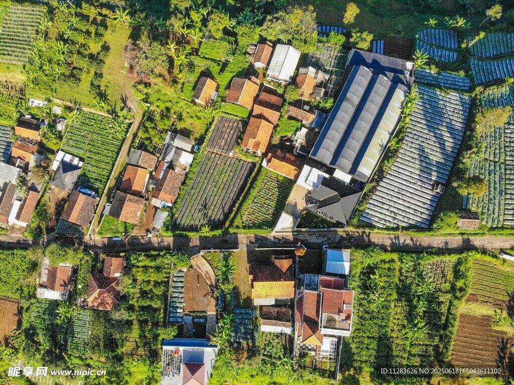 俯瞰乡村多彩民居景观