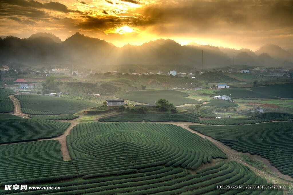 日出下的田园梯田美景
