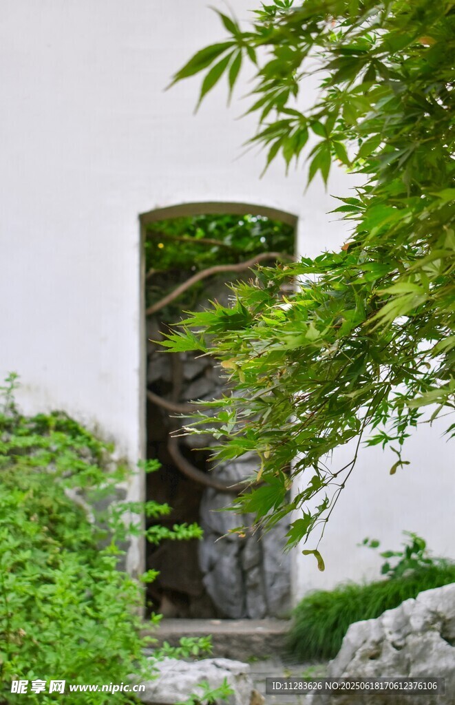 中式庭院绿植景观一角