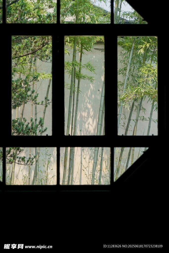 透过窗户望葱郁竹林