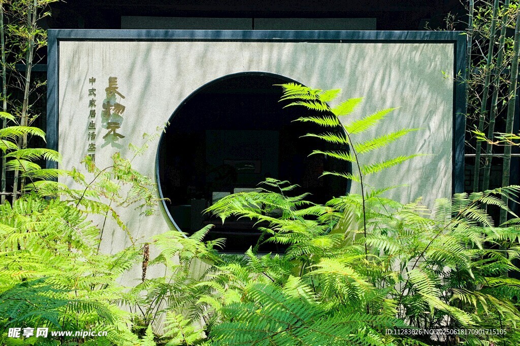 中式园林圆门绿植景致