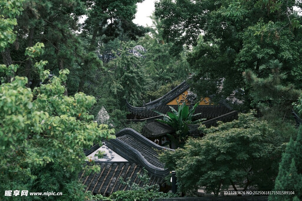 林间隐现的中式传统建筑