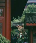 中式庭院景致