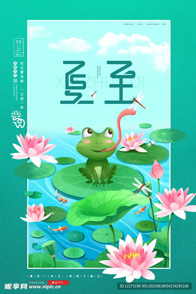 夏至时节青蛙与荷花图景