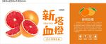新鲜血橙宣传海报展示