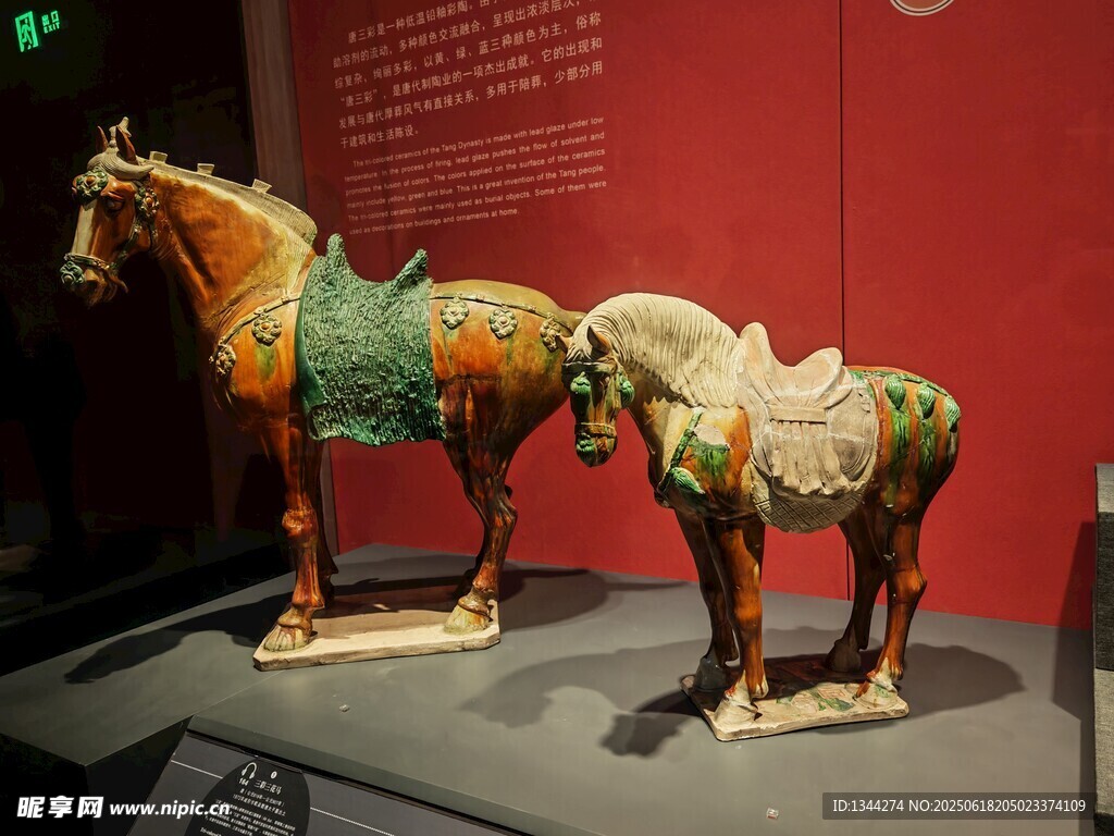 彩绘陶马文物展示