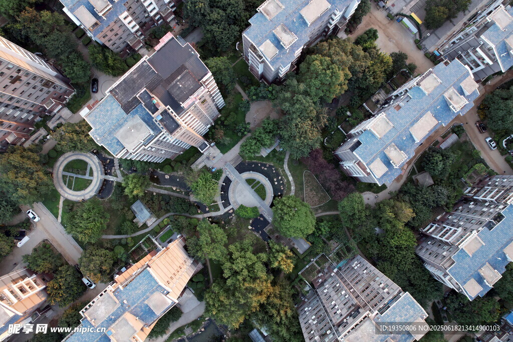 俯瞰城市中的绿化住宅区