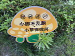 小脚不乱跑 小草微微笑