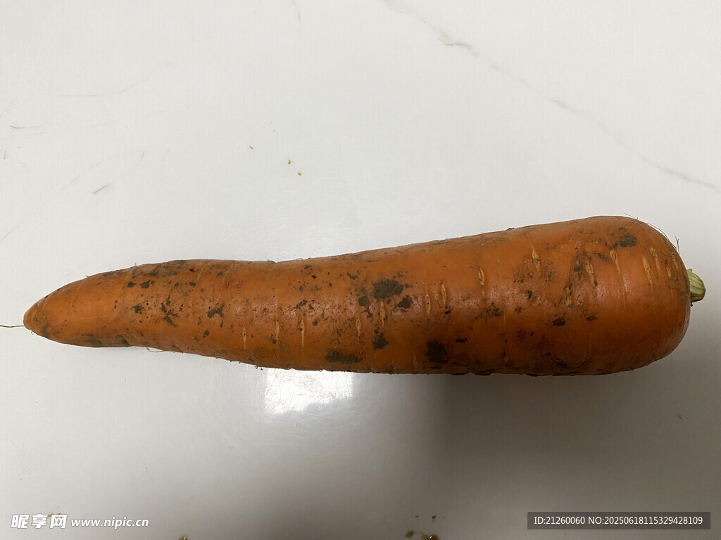 一根带泥土的新鲜胡萝卜