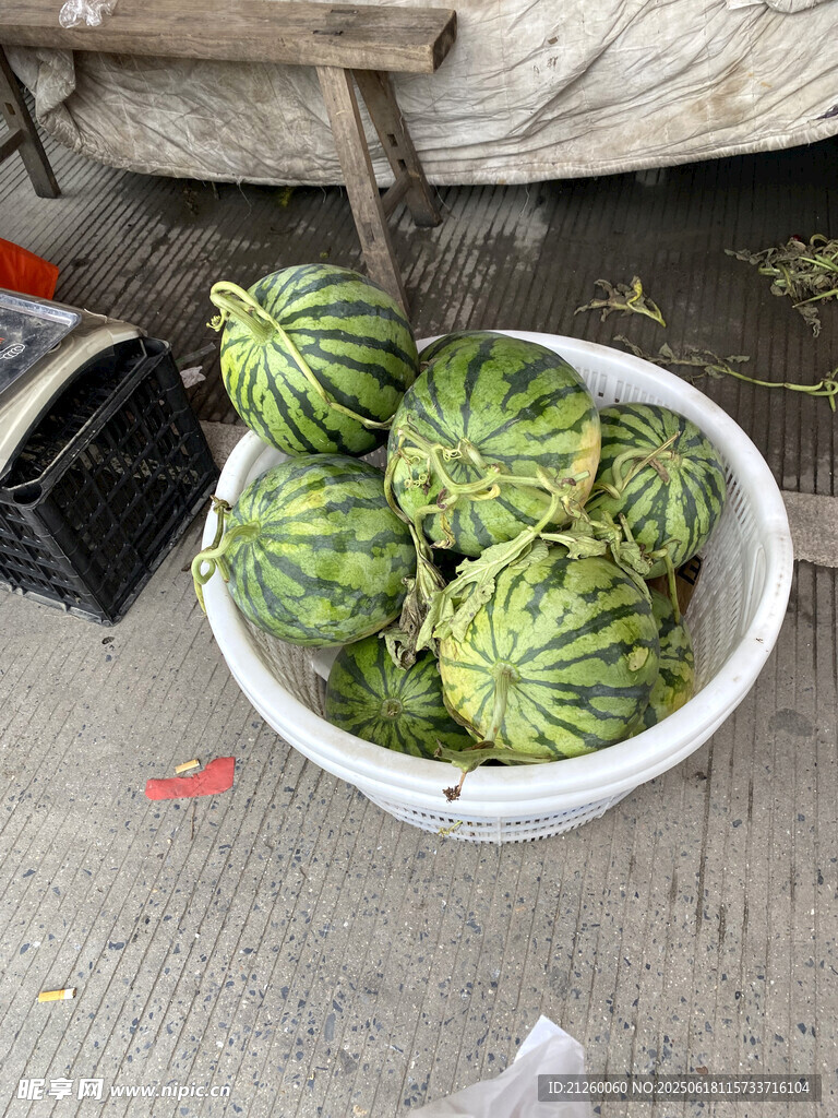 盆中堆放的新鲜绿皮西瓜