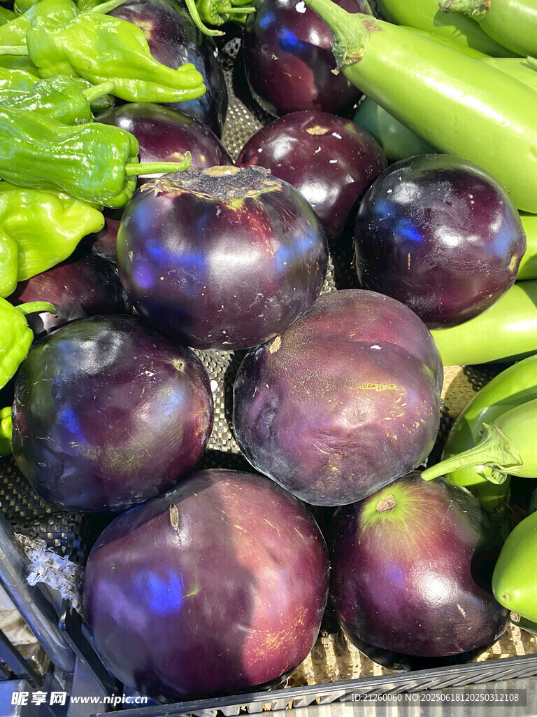 紫圆茄