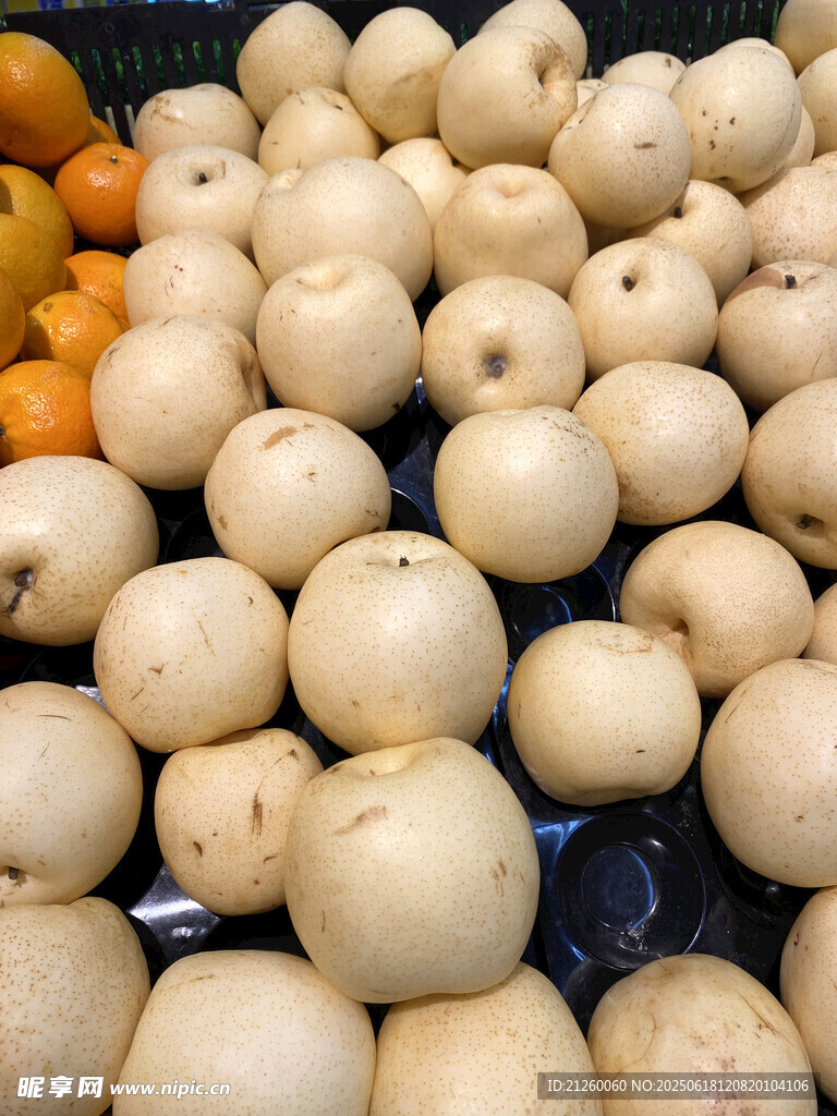 贡梨