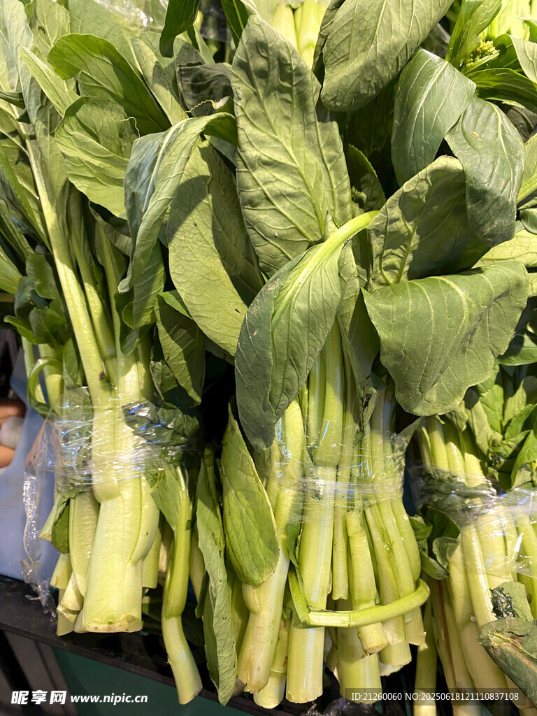 菜苔