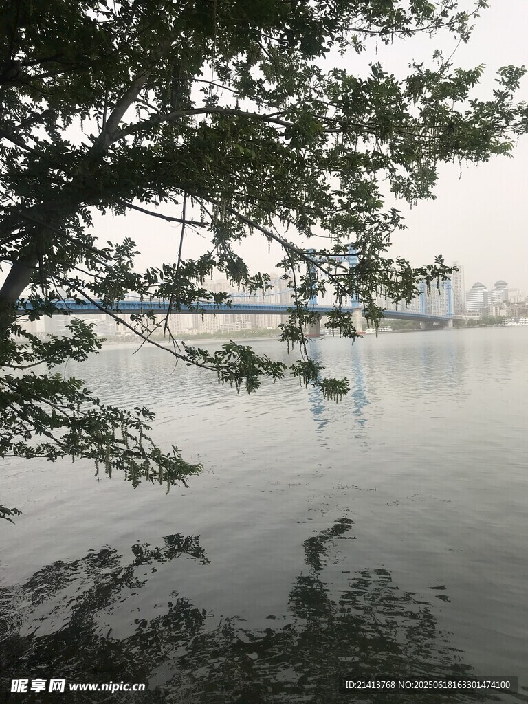 湖畔树影下的宁静水域