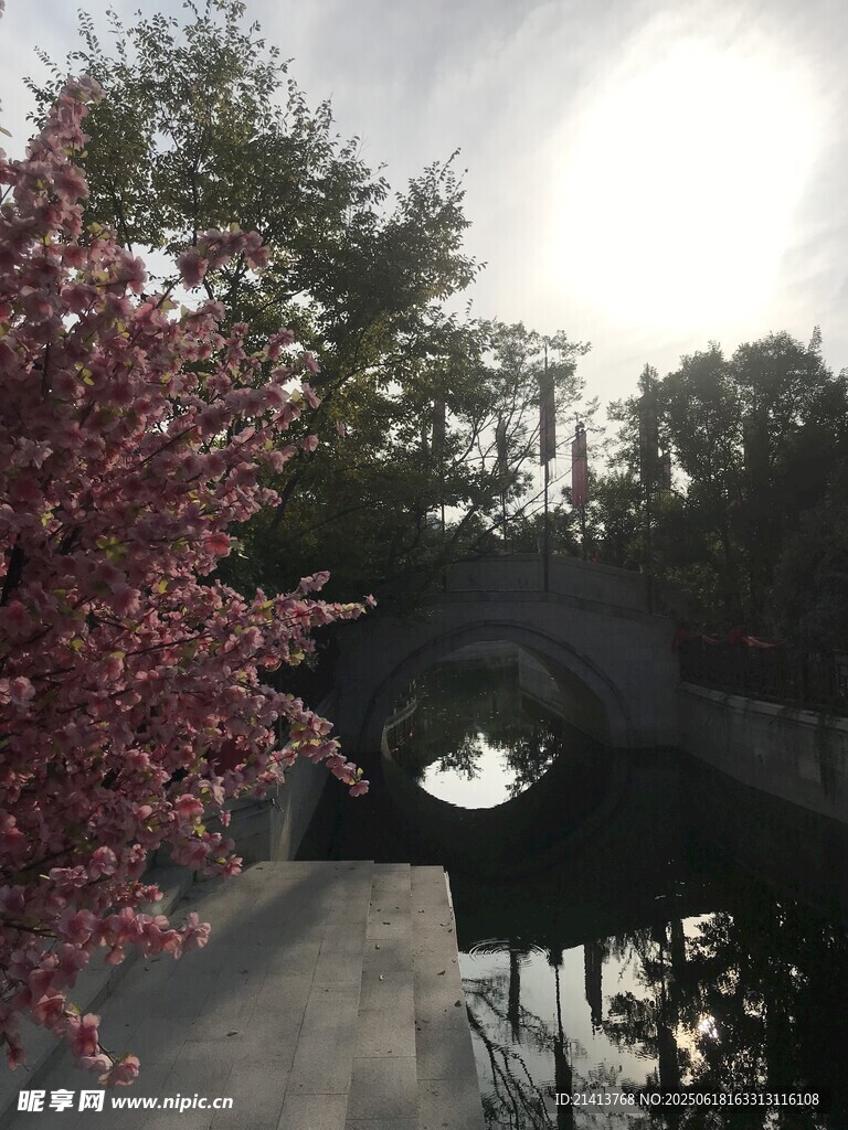 春日拱桥旁的烂漫花树