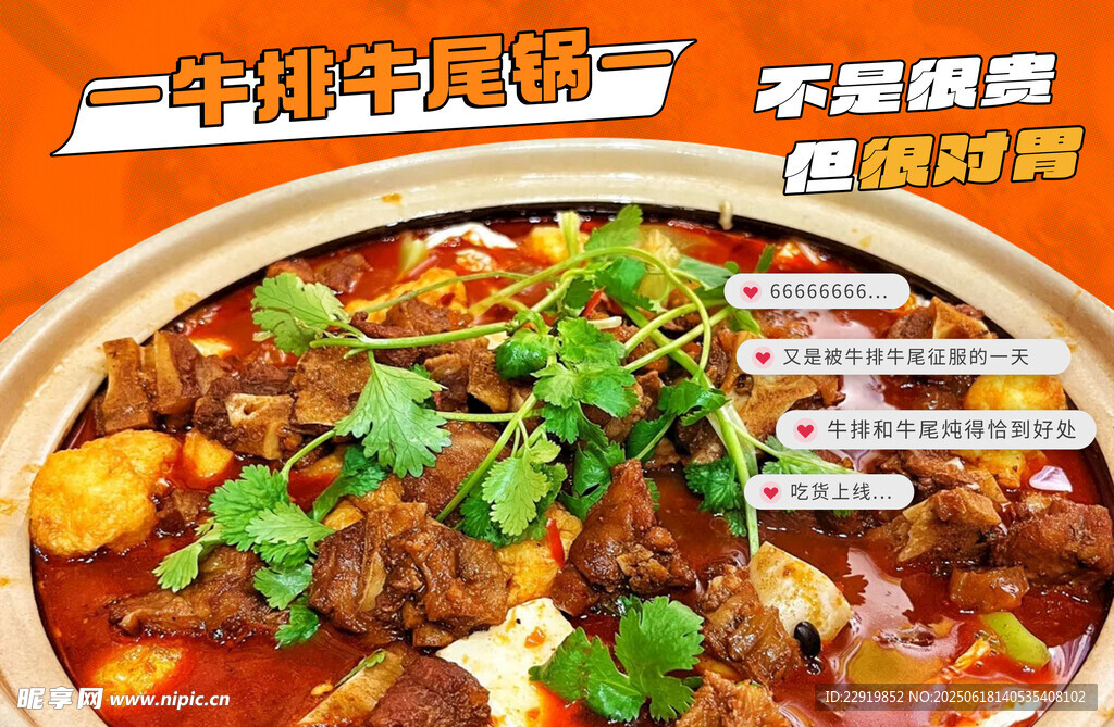 牛排牛尾锅