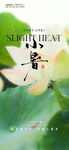 小暑清新荷花海报