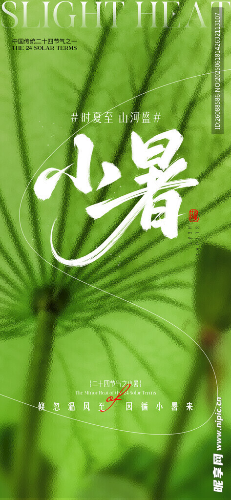 小暑大暑荷花荷叶节气海报