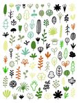 多彩植物图案插画 