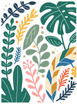 植物叶子插画
