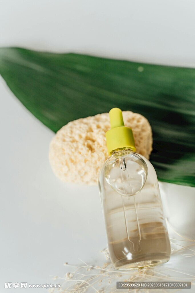 清新香水瓶与绿植摆件