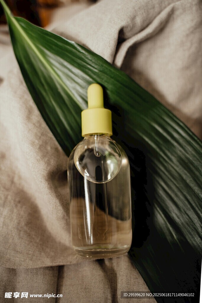 清新绿植旁的透明按压瓶