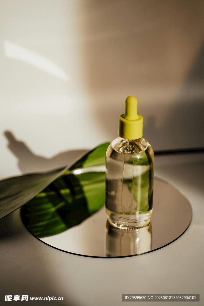 精致香薰瓶与绿叶摆件