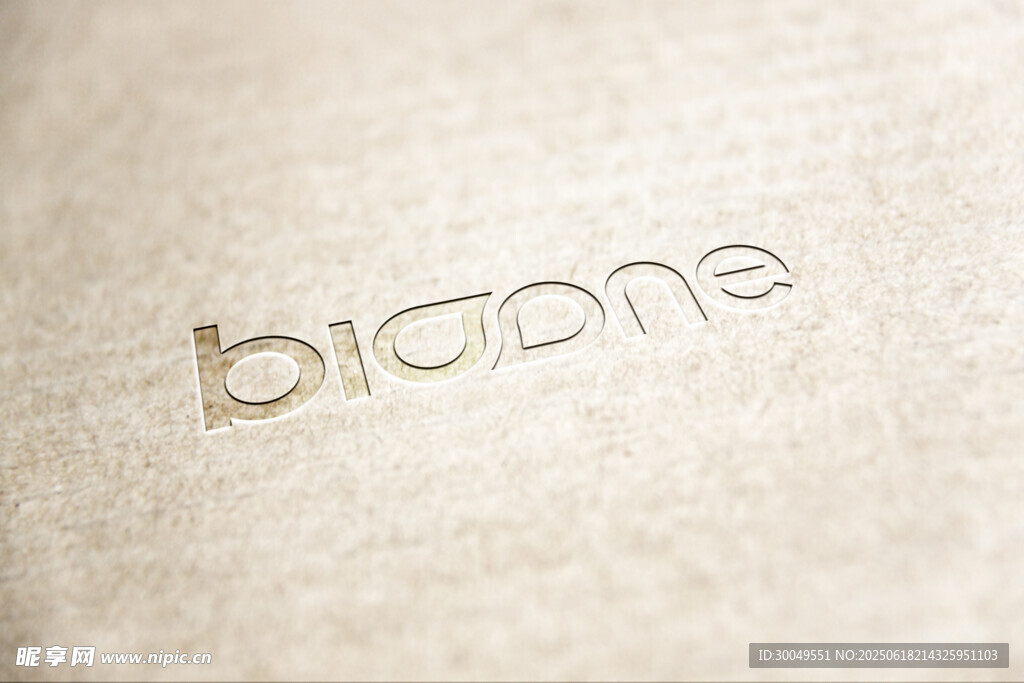 LOGO样机