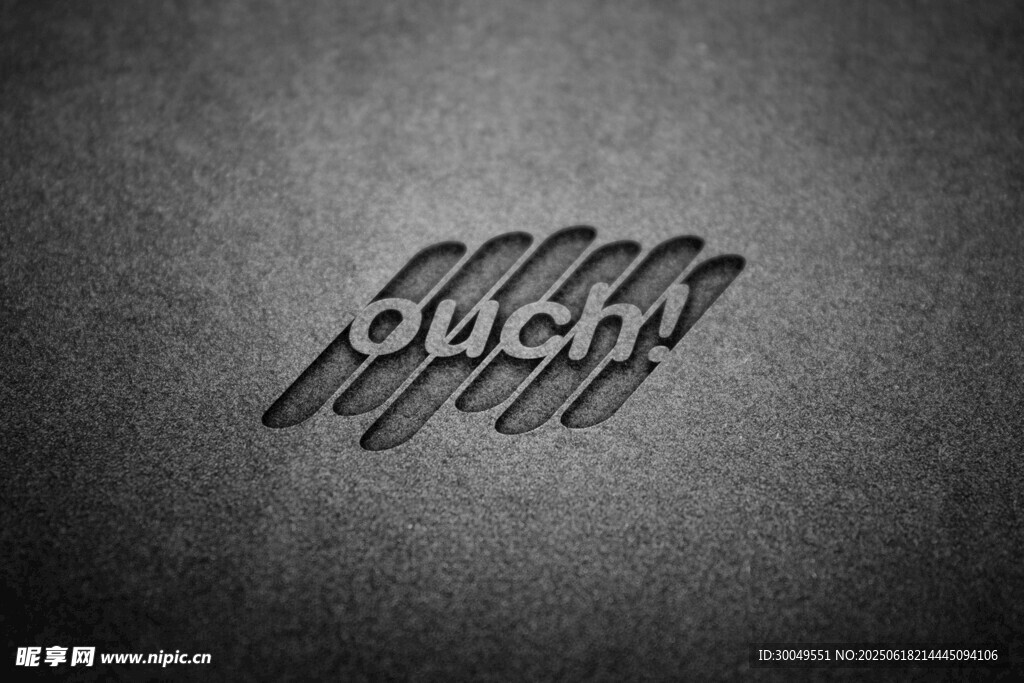 LOGO样机