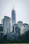 纽约城市高楼景观