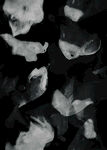 黑白抽象花瓣飘落画面
