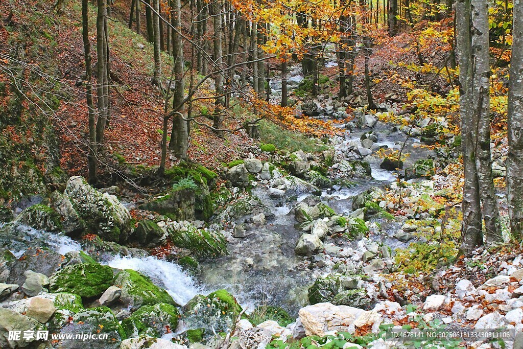 秋日山林溪流美景