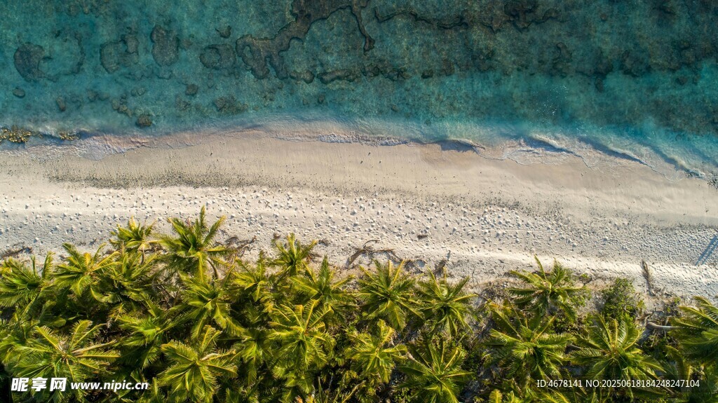 海岸边的绿植景观