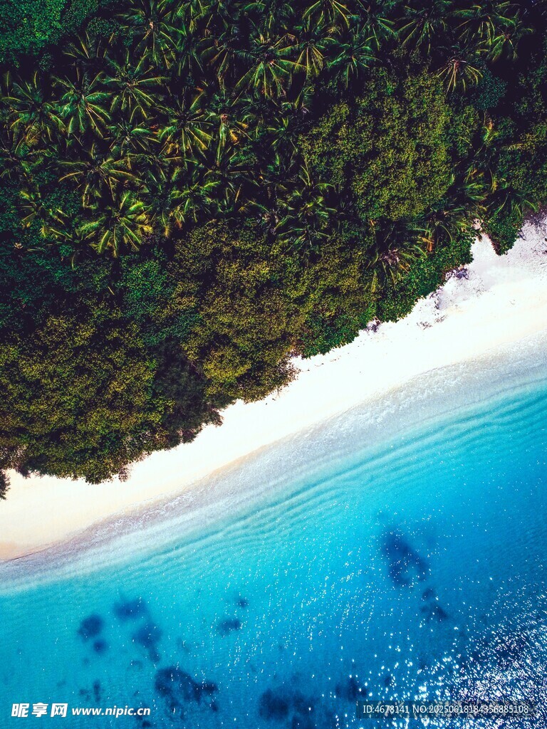 俯瞰碧海白沙与葱郁植被
