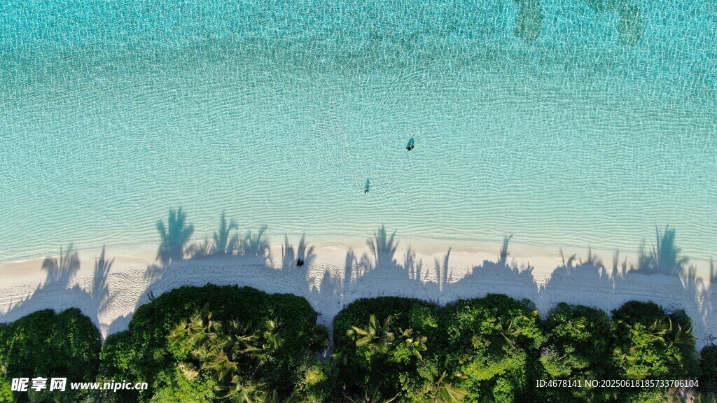 梦幻绿植与天际线景观