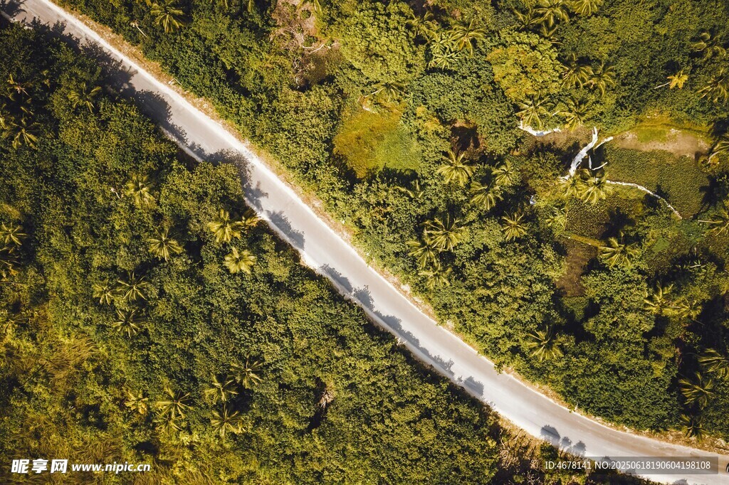 蜿蜒公路穿行于葱郁山林