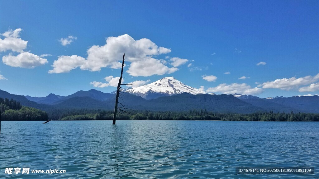 蓝天碧水间的孤杆美景