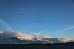 蓝天雪山飞鸟壮丽景观