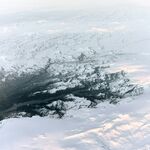 冬日树枝覆雪景象