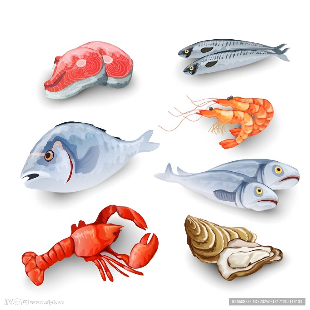 多样海鲜食材展示