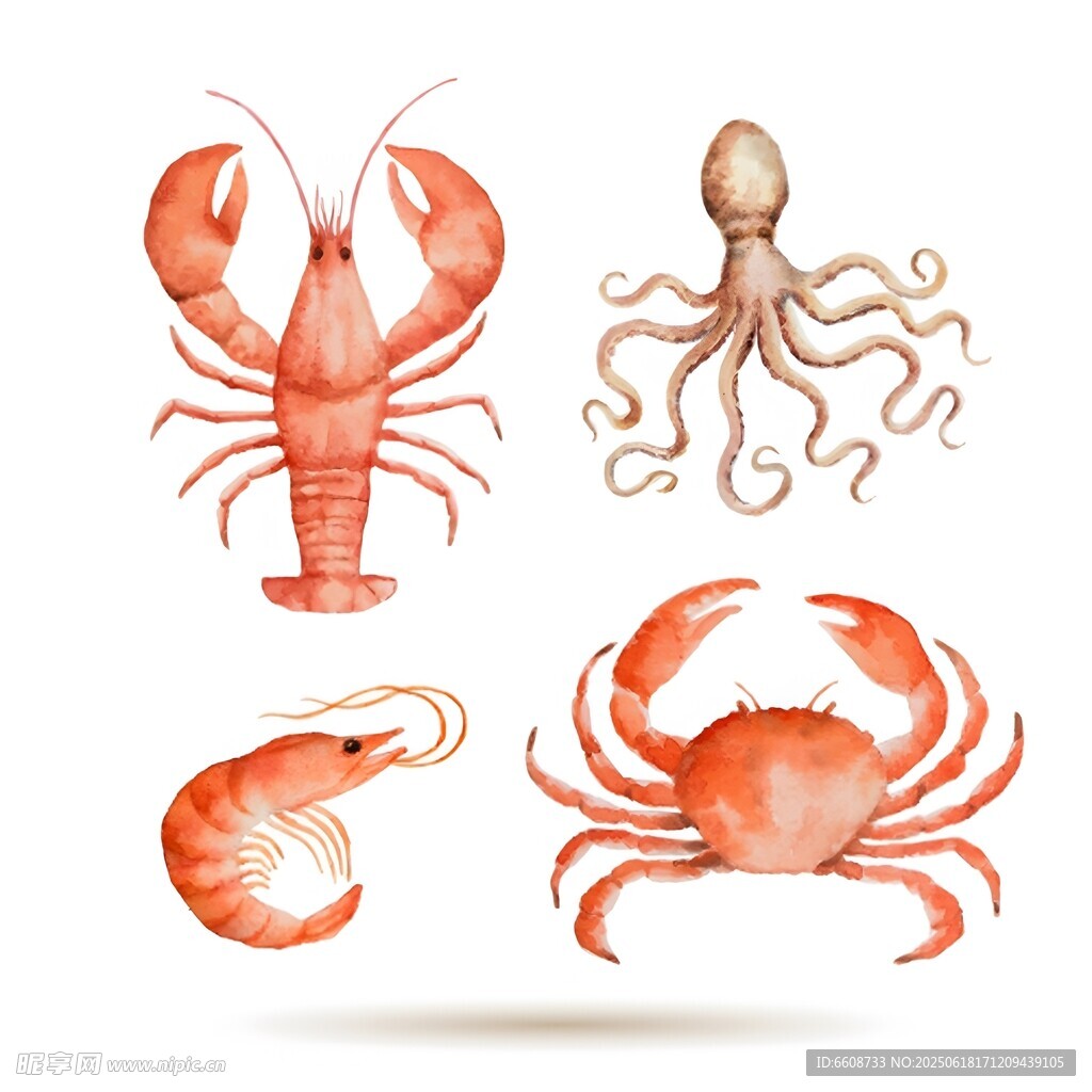 海洋美味海鲜插画