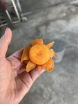 剥皮的枇杷