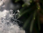 微距下的精致雪花