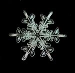 精致雪花图案