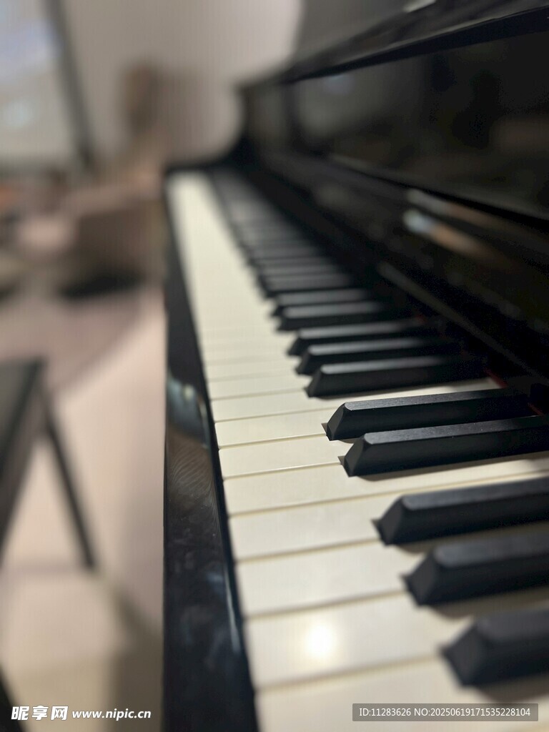 精致钢琴黑白琴键特写
