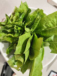 蔬菜