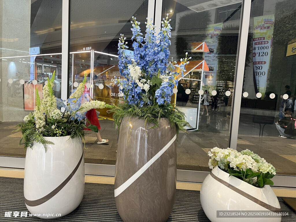 室内大型盆栽花卉装饰