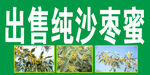 沙枣蜜