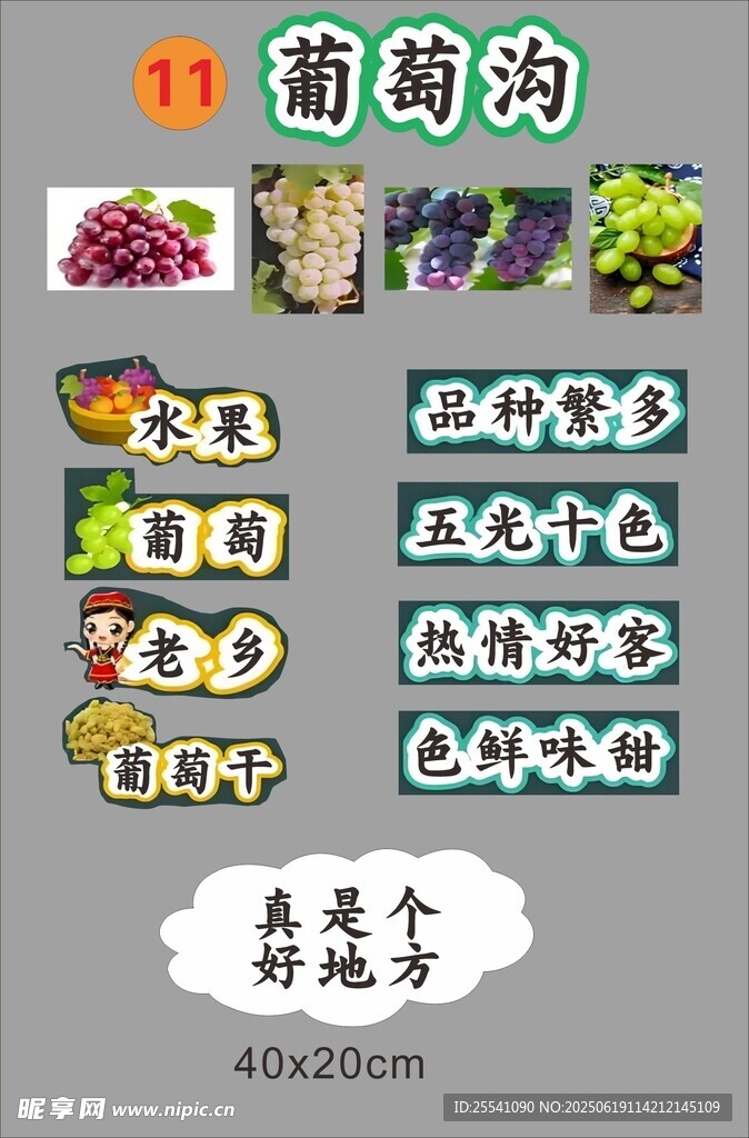 板书葡萄沟