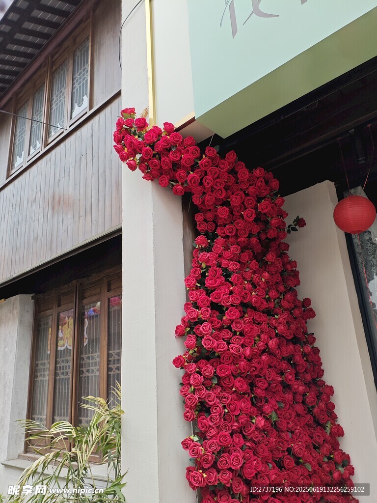 玫瑰墙